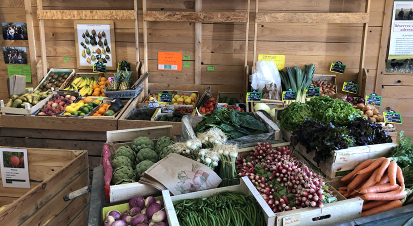 Fruits et légumes en vente directe à Besny et Loizy près de Laon Le