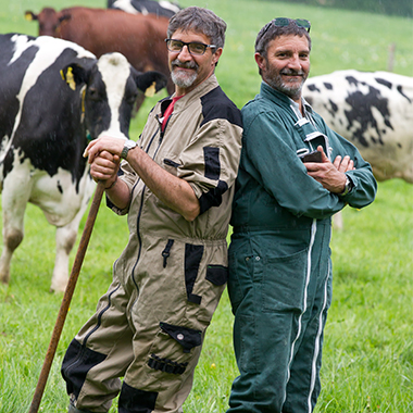 Producteurs de volailles