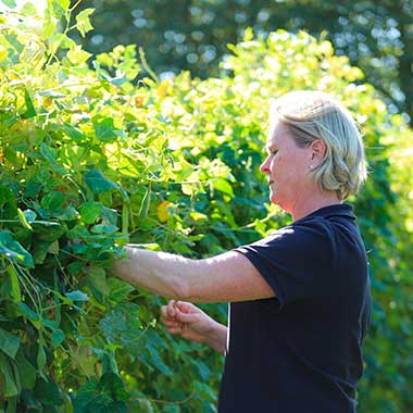 Nos producteurs hors de l'Aisne